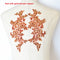 Colors Ganza Emboridered Corded Wedding Large Lace Applique for Bridal Dress Lace Trim Applique - florybridal